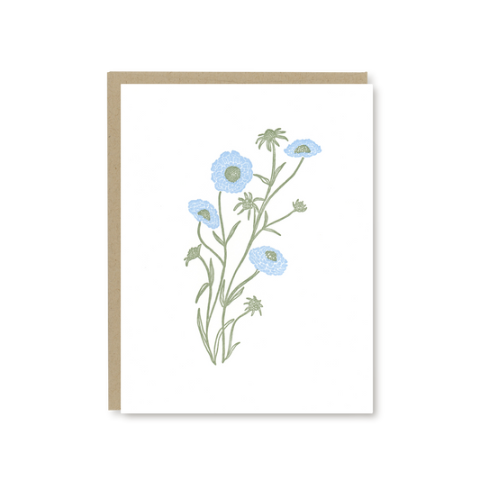Pincushion Flower Blank Card