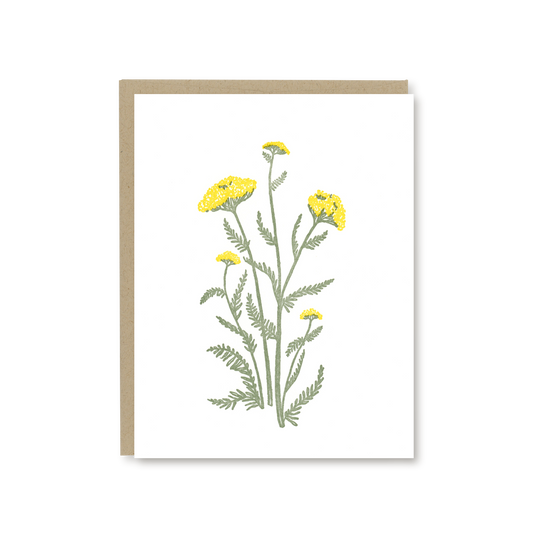 Yarrow Flower Blank Card