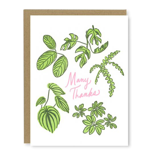 Houseplant Thank You Card | Letterpress Thank You Card