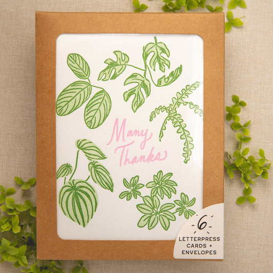 Houseplant Thank You Card | Set of 6