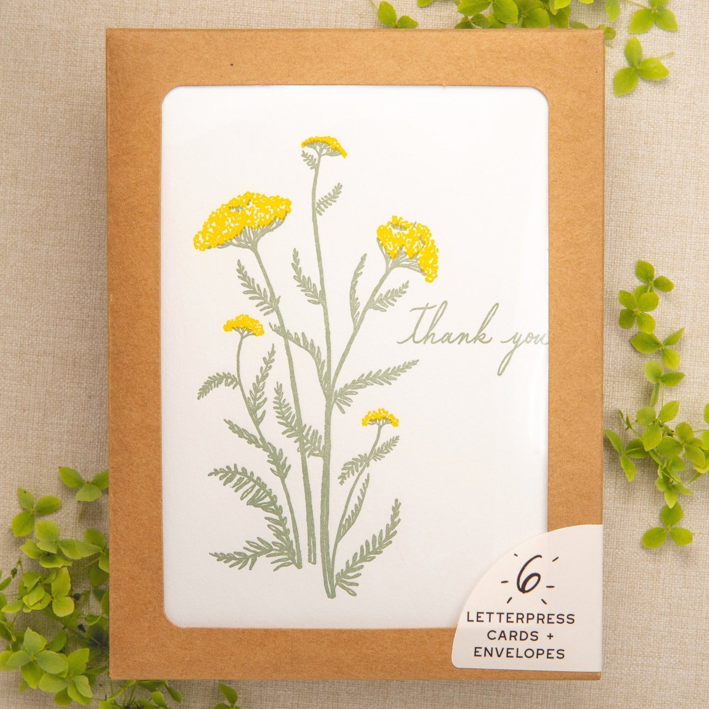 Yarrow Thank You Card | Set of 6