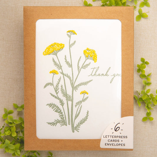 Yarrow Thank You Card | Set of 6